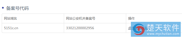 網絡外包
